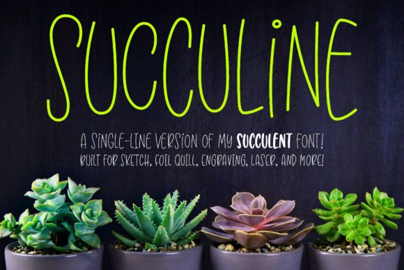 Download Succuline (single Line) - Single line Collection
